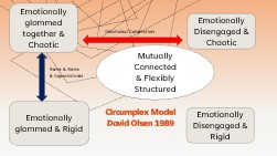 A Warm-up: family structure and emotional connection